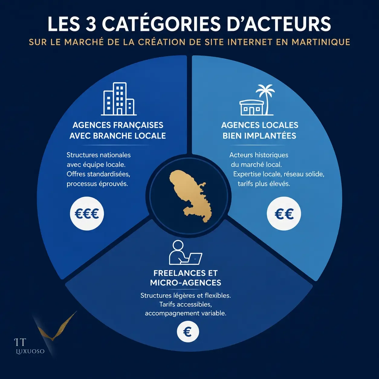 Infographie circulaire présentant les 3 catégories d'acteurs de la création de site internet en Martinique.