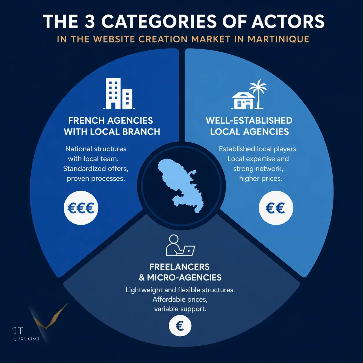 Infographics: 3 categories of actors in Martinique's website creation market, influencing devis.